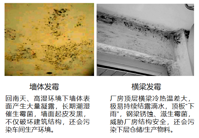1790048023940748.png image.png